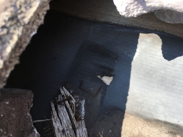 雨漏りしていた屋根の内部